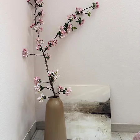 Czarna Gora Z Widokiem アパート